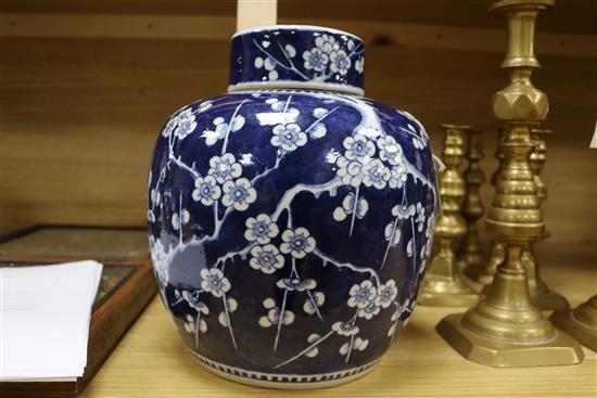A Chinese large bulbous ginger jar and cover decorated prunus